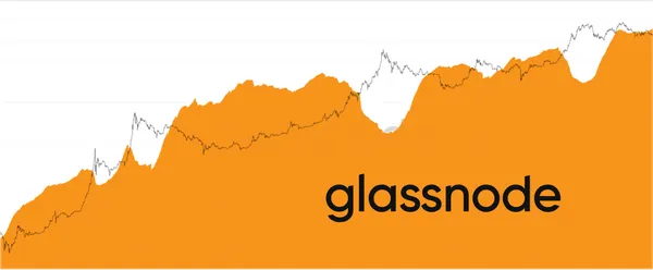 Following the Smart Money: A Study of Long-Term Holders