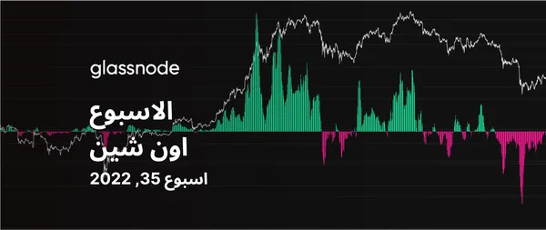 البيتكوين يكافح للحفاظ على مستواه السعري