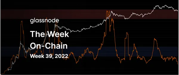 Product Update: August 2022