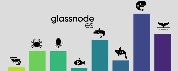 No, la Posesión de Bitcoin no está Altamente Concentrada – Pero las Ballenas están Acumulando
