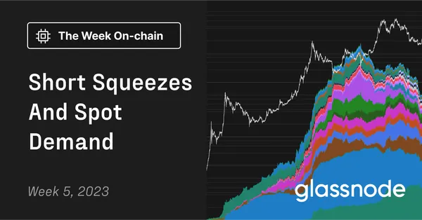 Short Squeezes and Spot Demand