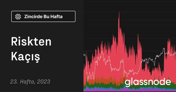 Riskten Kaçış