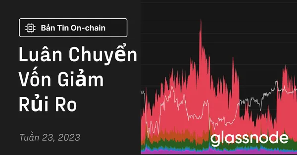 Luân Chuyển Vốn Giảm Rủi Ro