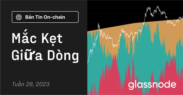 Mắc Kẹt Giữa Dòng