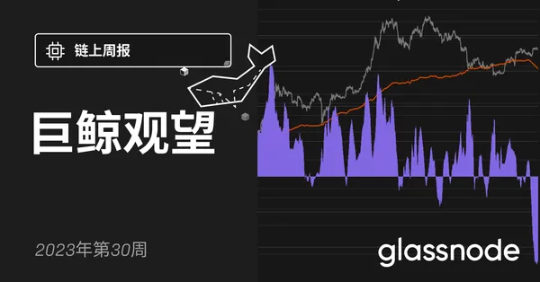 巨鲸观望