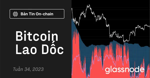 Bitcoin Lao Dốc