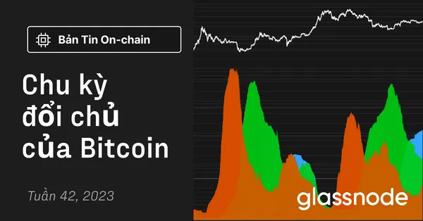 Chu kỳ đổi chủ của Bitcoin