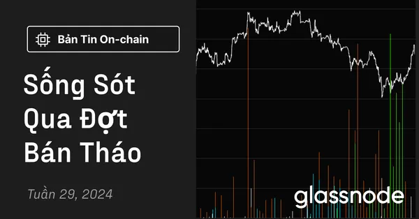Sống Sót Qua Đợt Bán Tháo