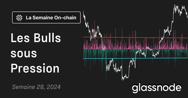 Les Bulls sous Pression