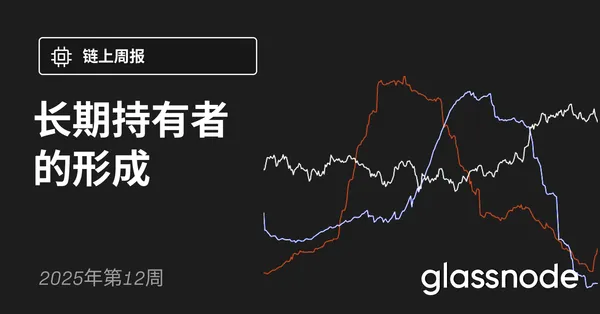 长期持有者的形成
