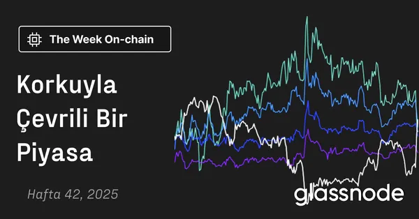 Korkuyla Çevrili Bir Piyasa
