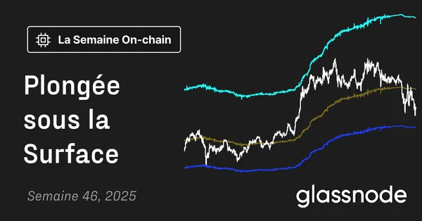 Plongée sous la Surface