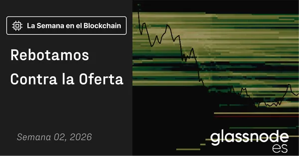 Rebotamos Contra la Oferta