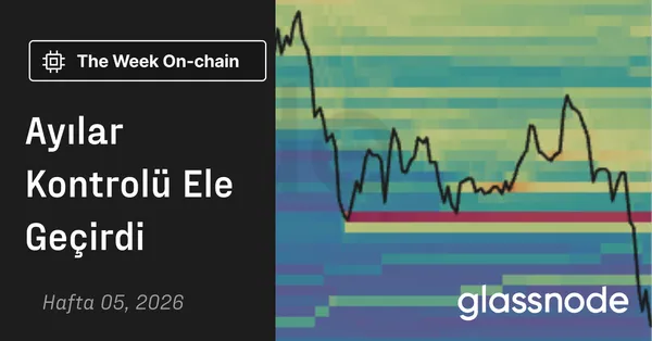 Ayılar Kontrolü Ele Geçirdi