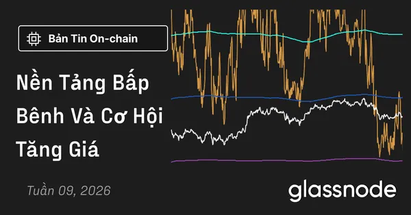 Nền Tảng Bấp Bênh Và Cơ Hội Tăng Giá
